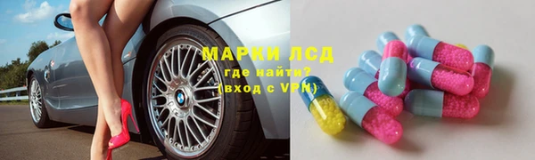 стафф Арсеньев