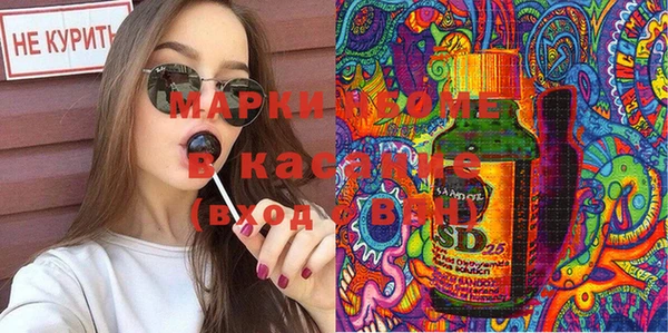 стафф Арсеньев