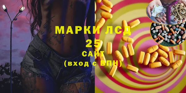 стафф Арсеньев