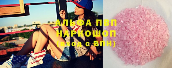 стафф Арсеньев